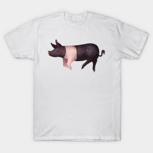 Cozy Hampshire Pig T-Shirt